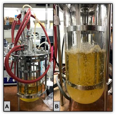 Editorial: “The value of microbial bioreactors to meet challenges in the circular bioeconomy”